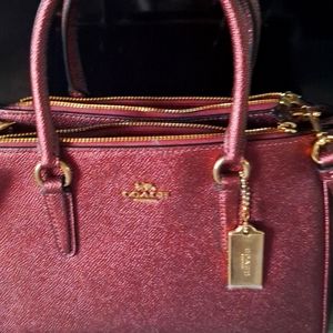 Mini Coach purse